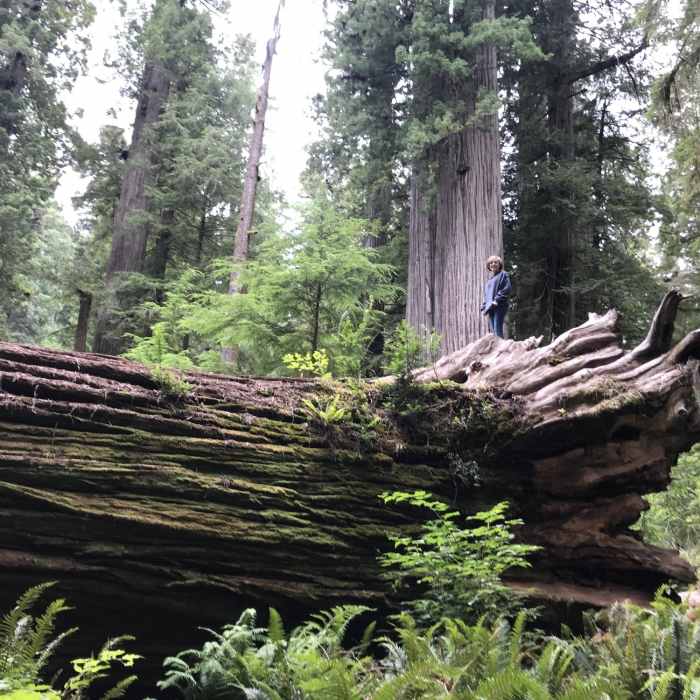 Near Simpson-Reed Trail