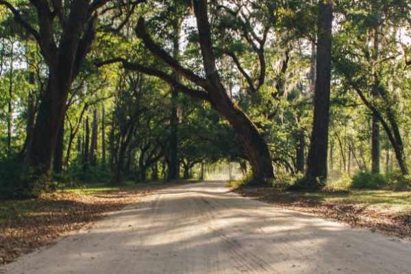 Santee Coastal WMA