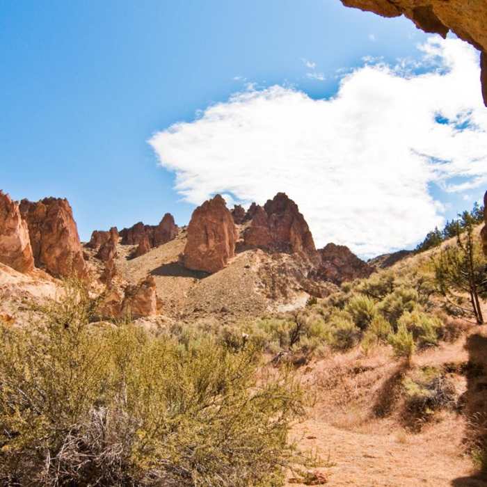 Near The Honeycombs Near The Honeycombs