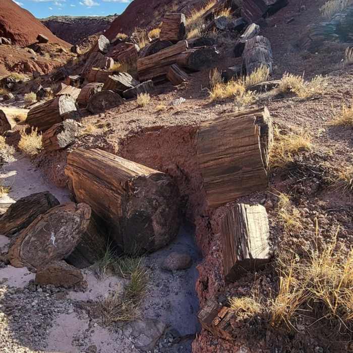 Near Onyx Bridge Trail