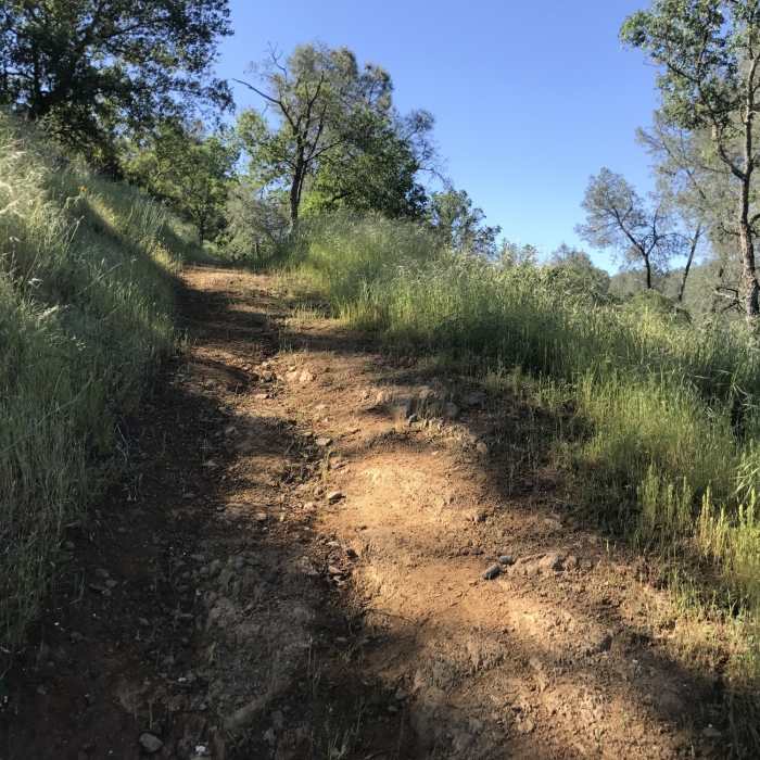 There are lots of steep but relatively short climbs on the race trail. Folks described it as sneaky because there's one after another. Near Mokelumne Coast to Crest Trail