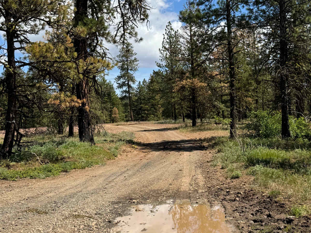 FS 1714-675 trail photo