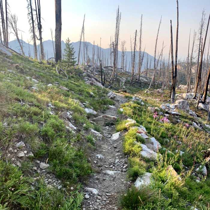 Near Iron Creek - Stanley Lake Loop