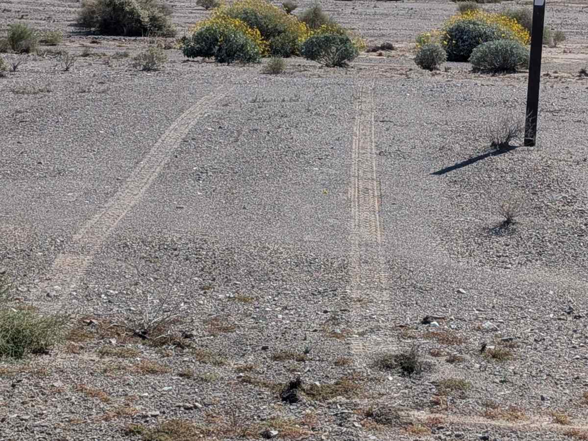BLM 776 trail photo