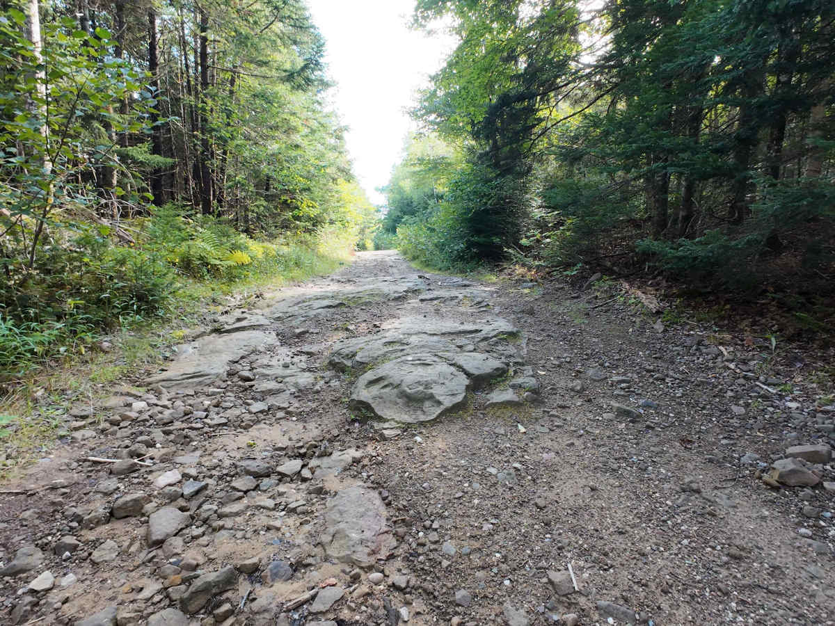 Chemical Road trail photo