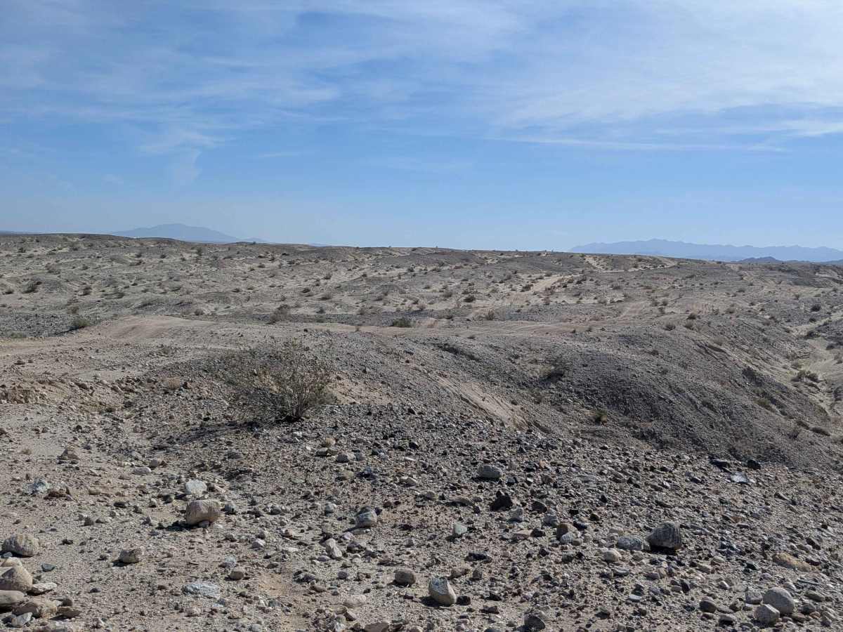 BLM 209 photo 2