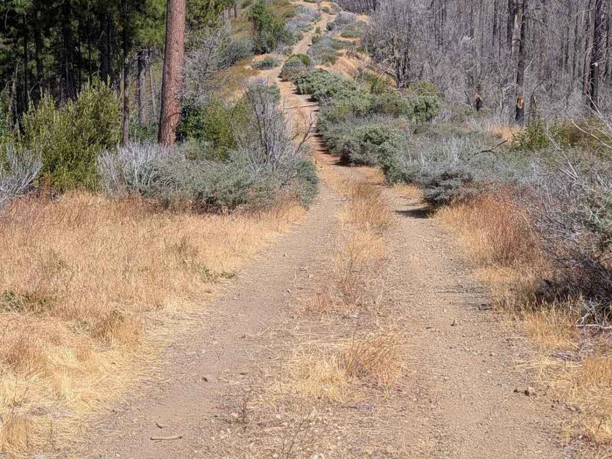 Donaldson Creek Road - FS 32N14 trail photo