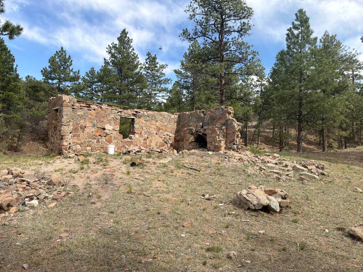 BLM 6220A photo 5
