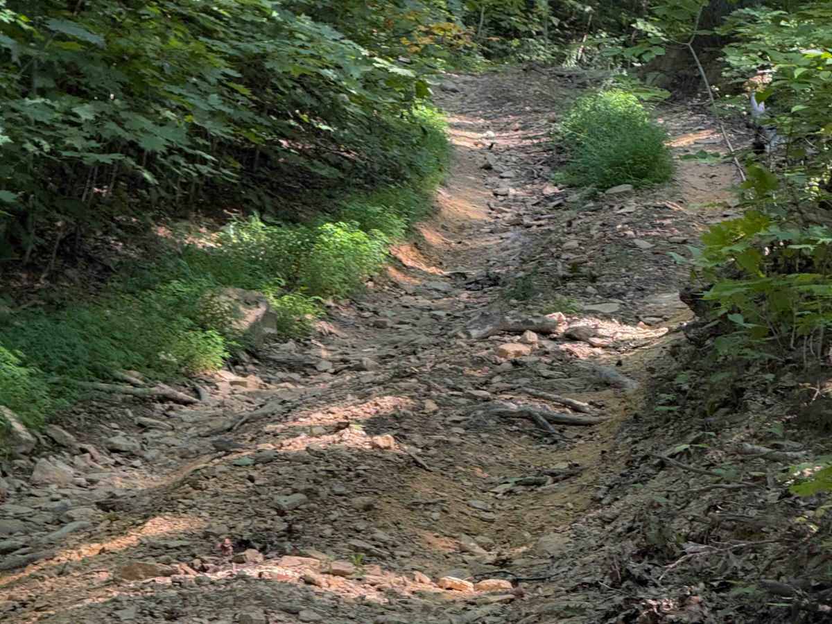 Rocky Branch Trail 23 photo 6