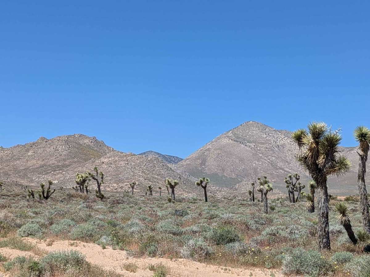 BLM SC106 trail photo