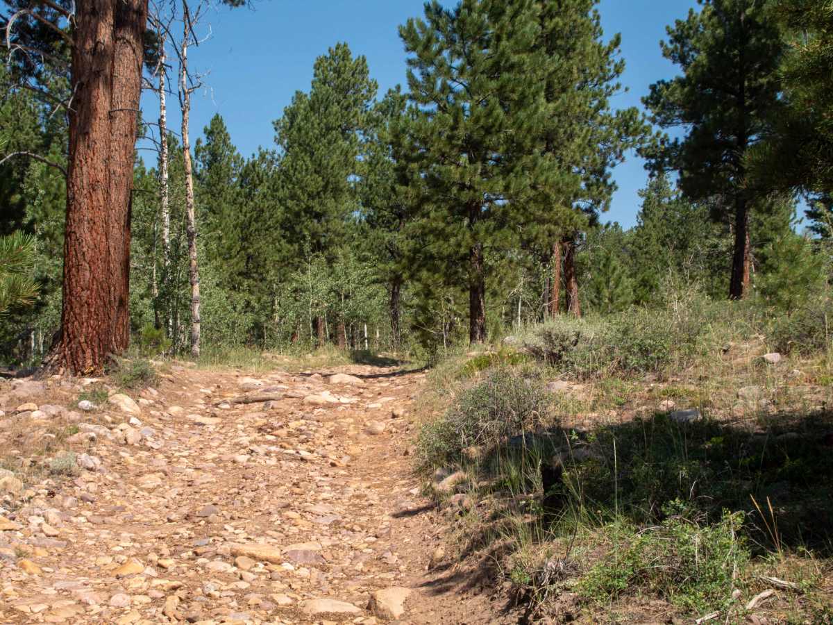 Crow Canyon - FS 10266 photo 3