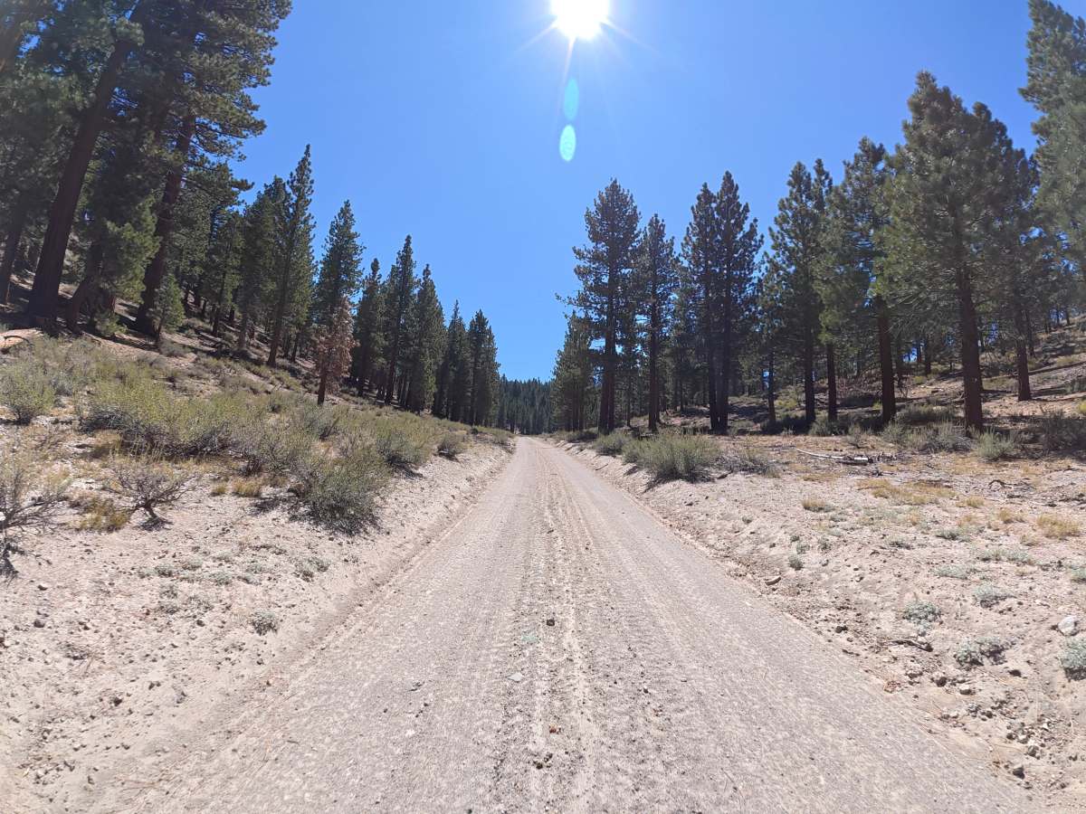 Dry Creek Road - FS 3S117 photo 2