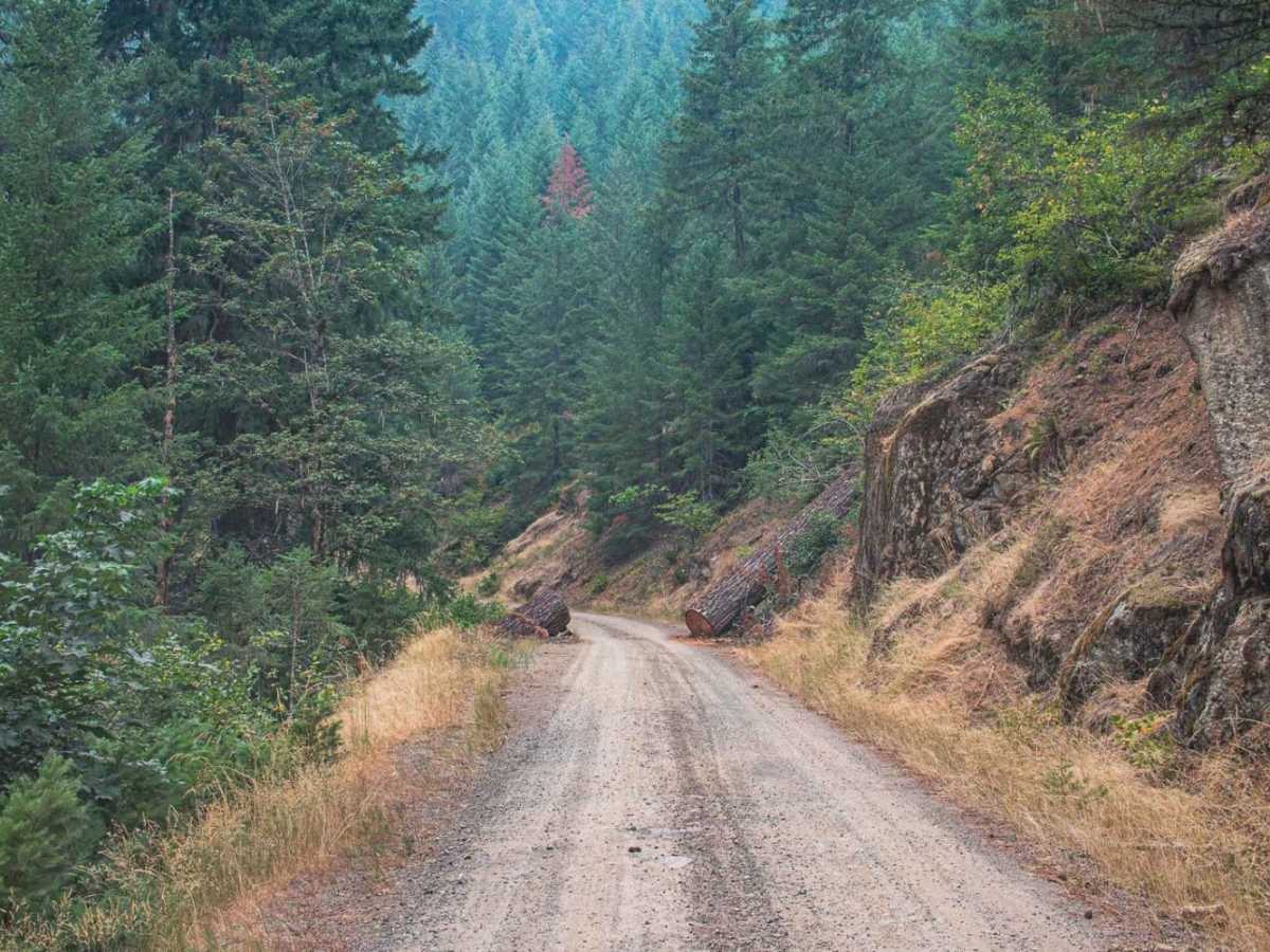 Buck Mountain photo 3