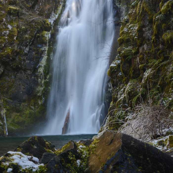 Near Chinook Creek Trail #130A