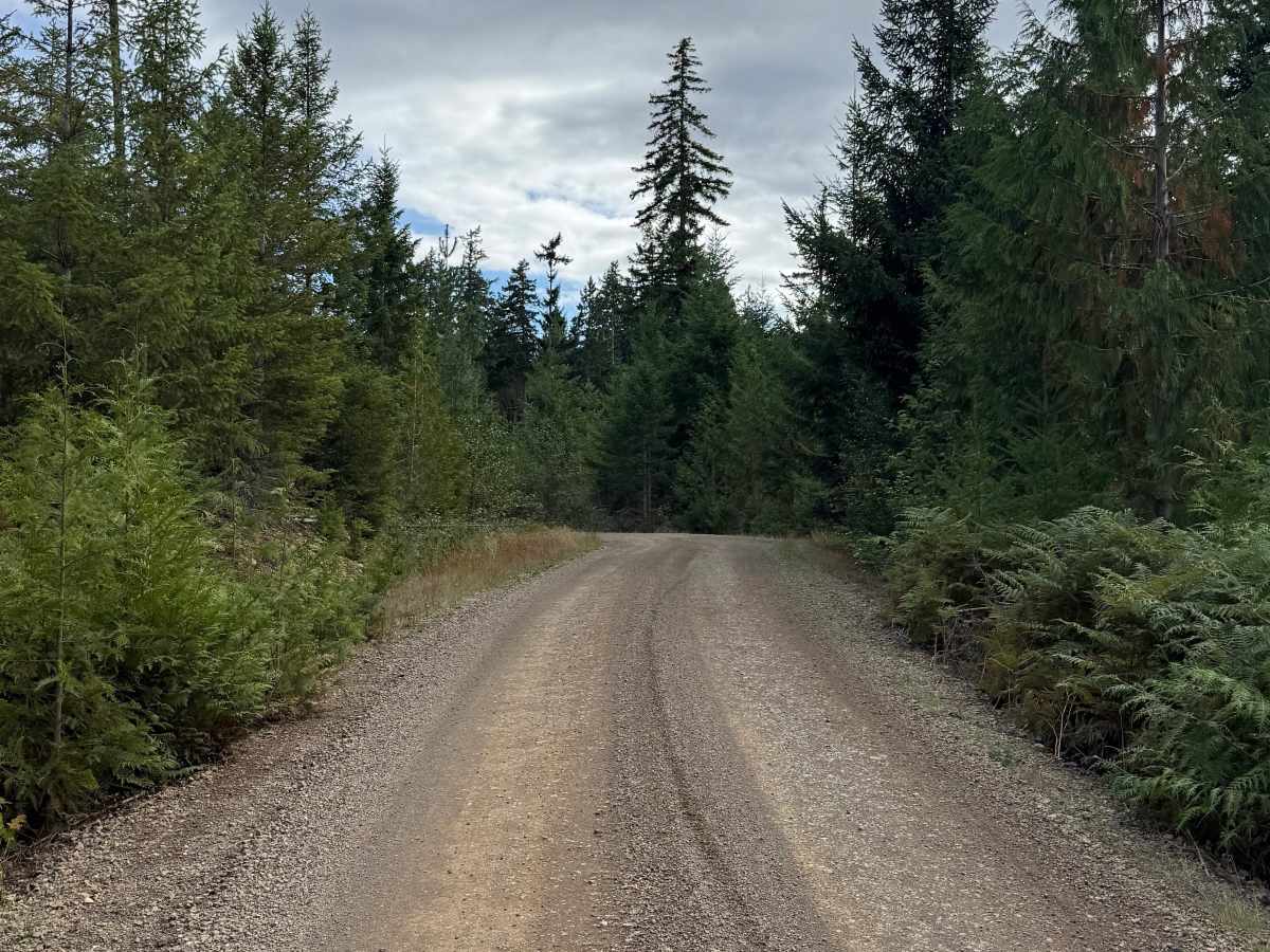 DRN Road 1240 photo 2
