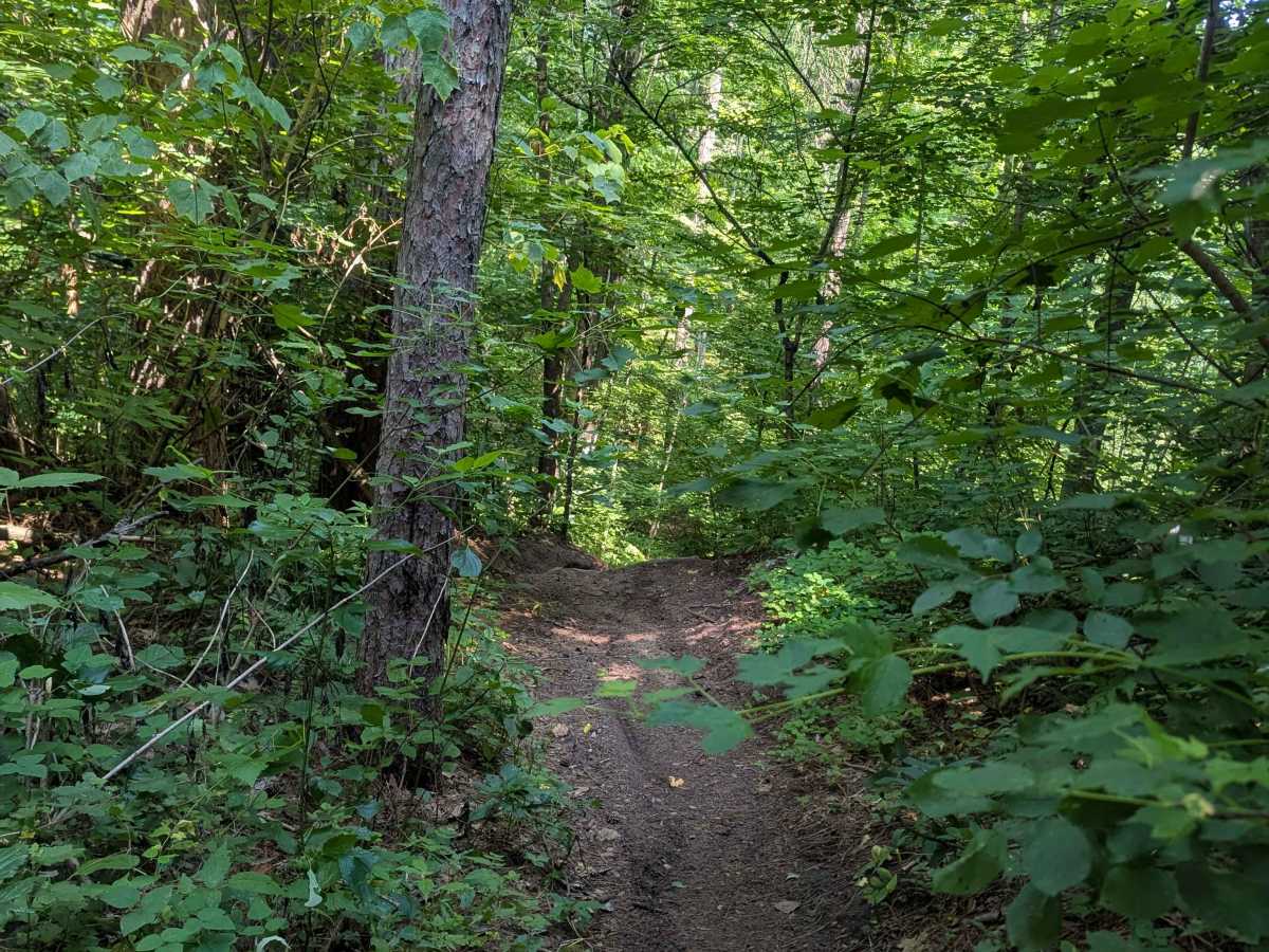 Outer Loop photo 5