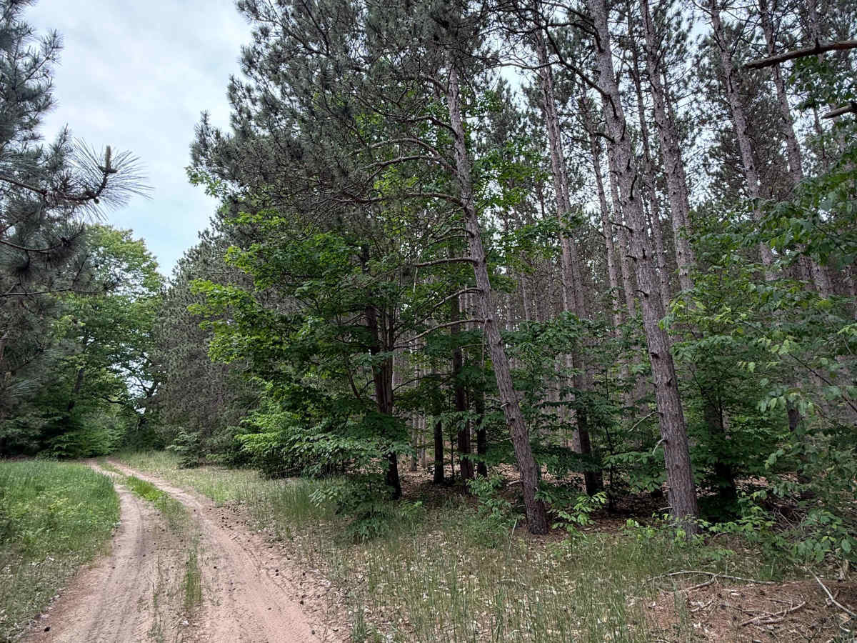 Samels Trail photo 5