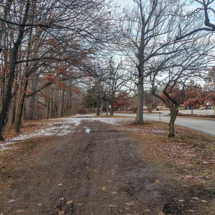 Near Genesee Riverway Trail at Seneca Park