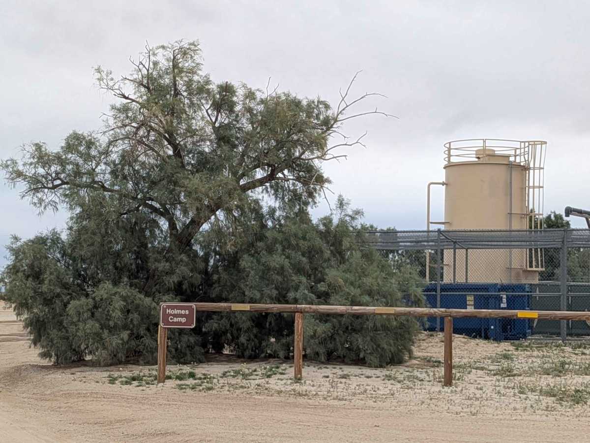 Holmes Camp Road photo 4