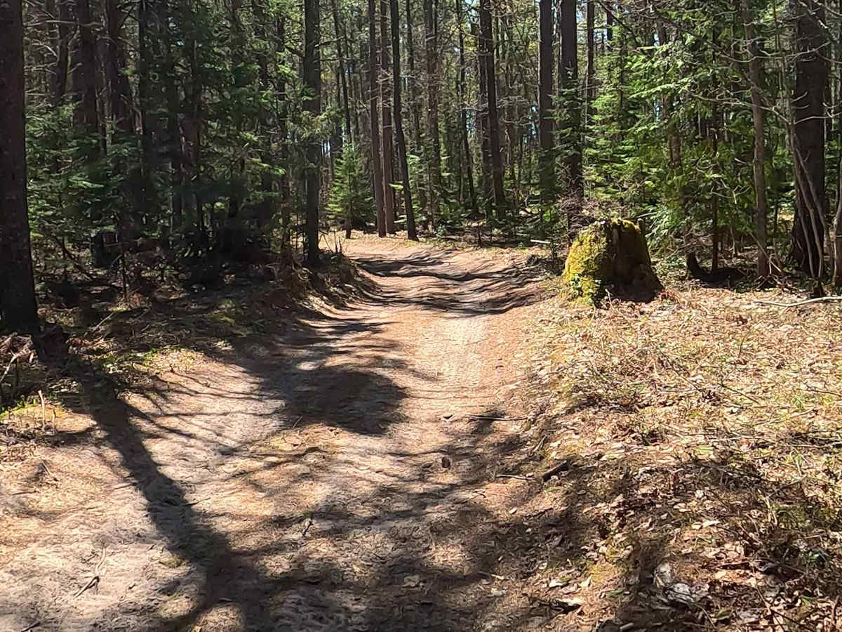 N Doe Lake Road photo 6