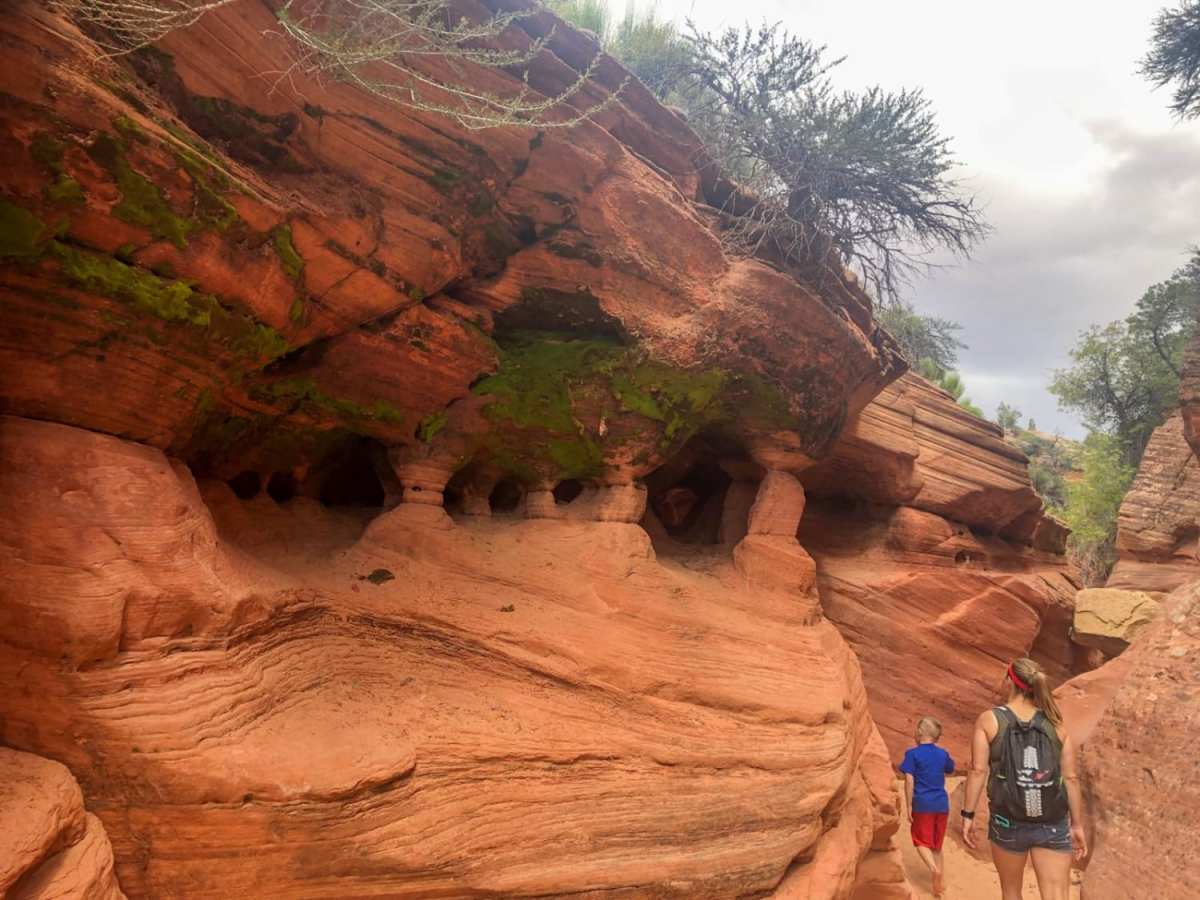 Dianas Throne trail photo