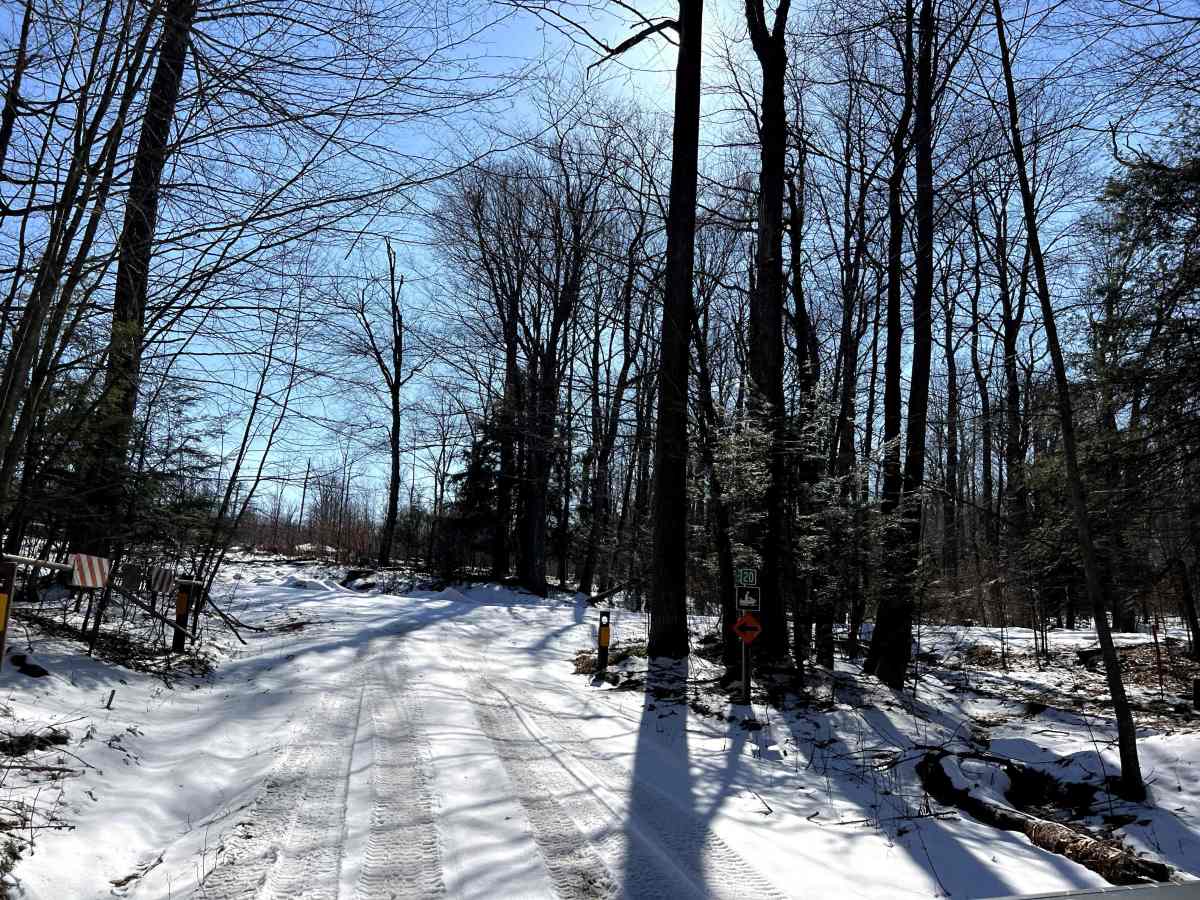 Blacksnake Run Alternate photo 6
