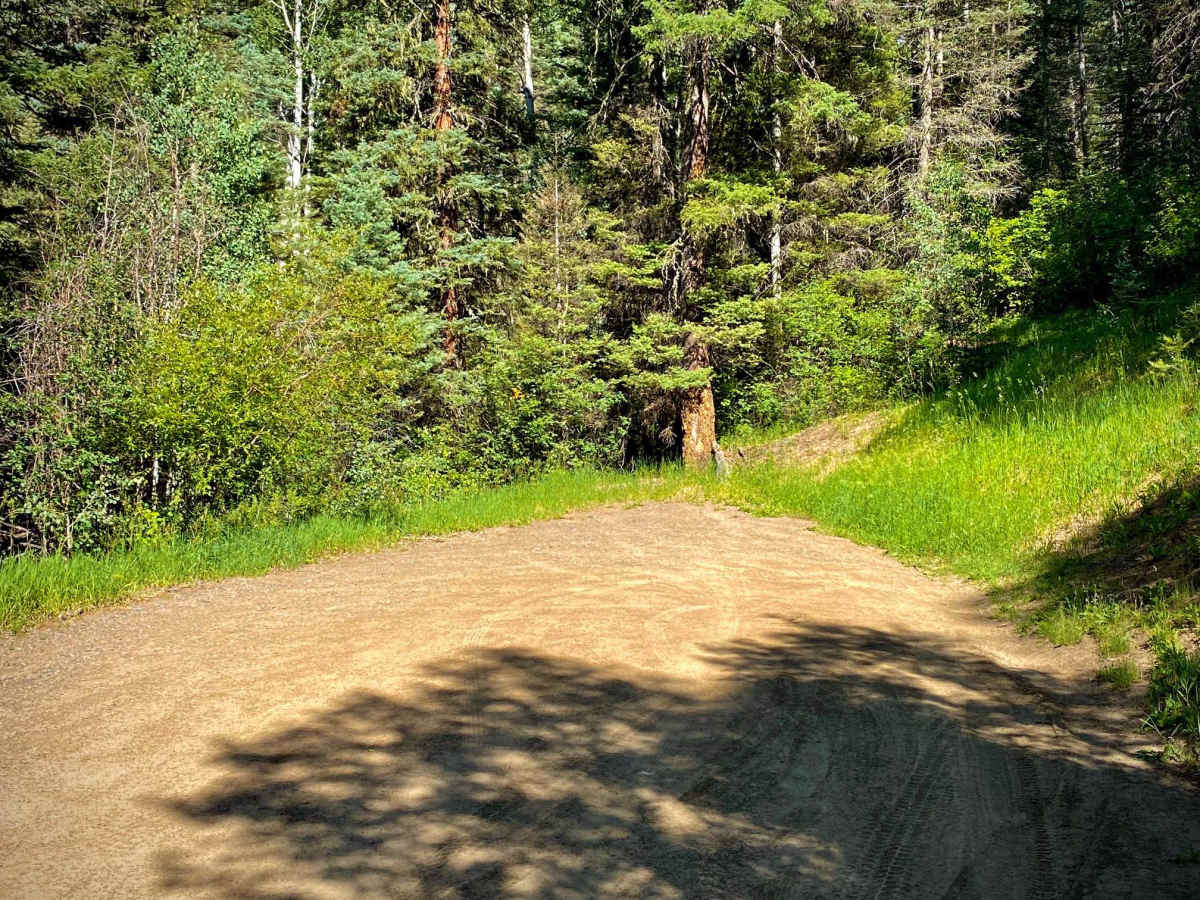 Fawn Gulch-Fr Rd 666 photo 6