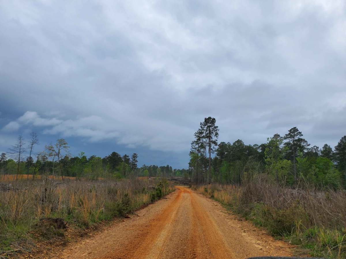 The Arkansas Overland Route - Section 5 - Highway 76 to Highway 278 photo 4