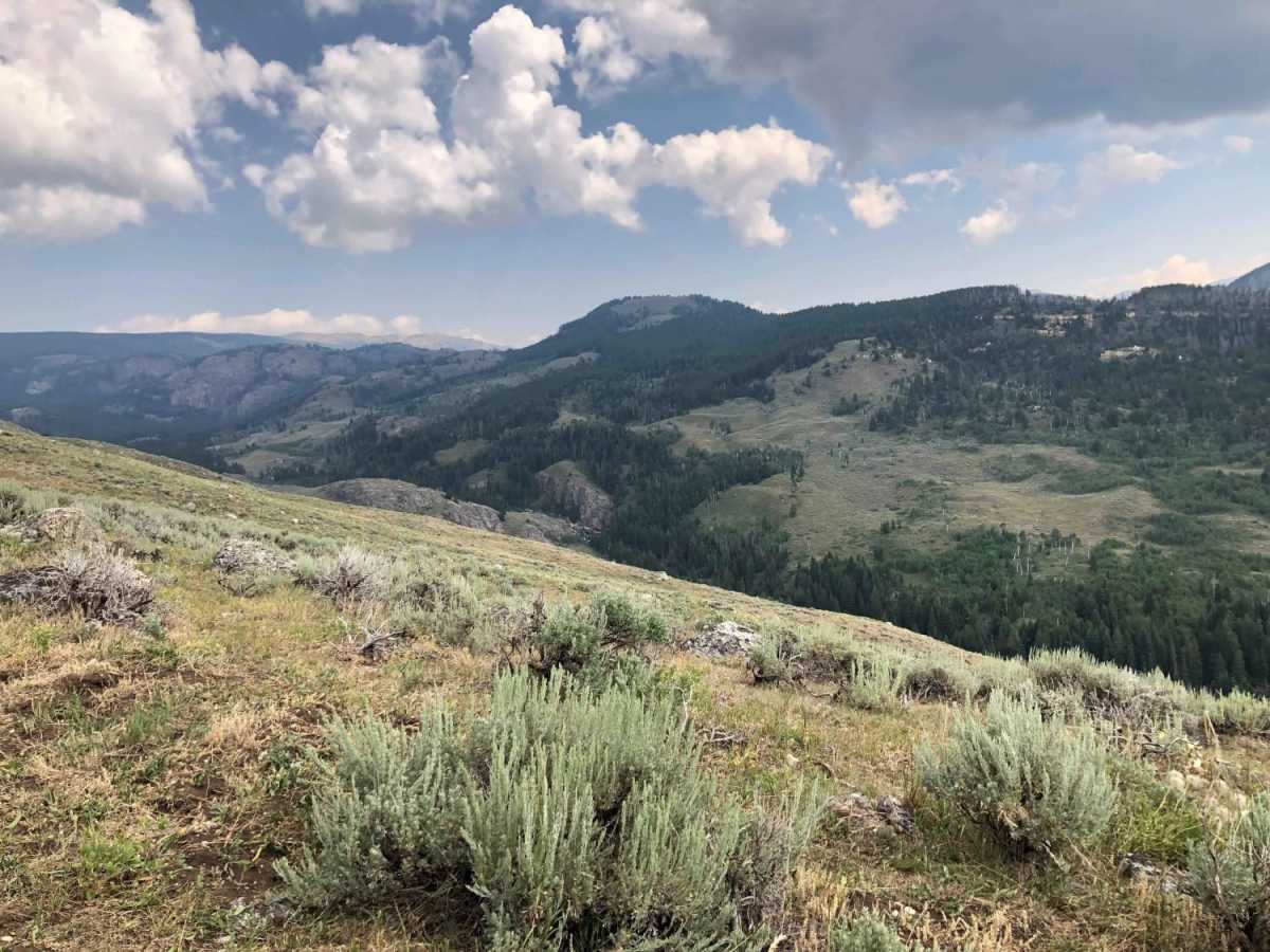 Paintrock Falls trail photo