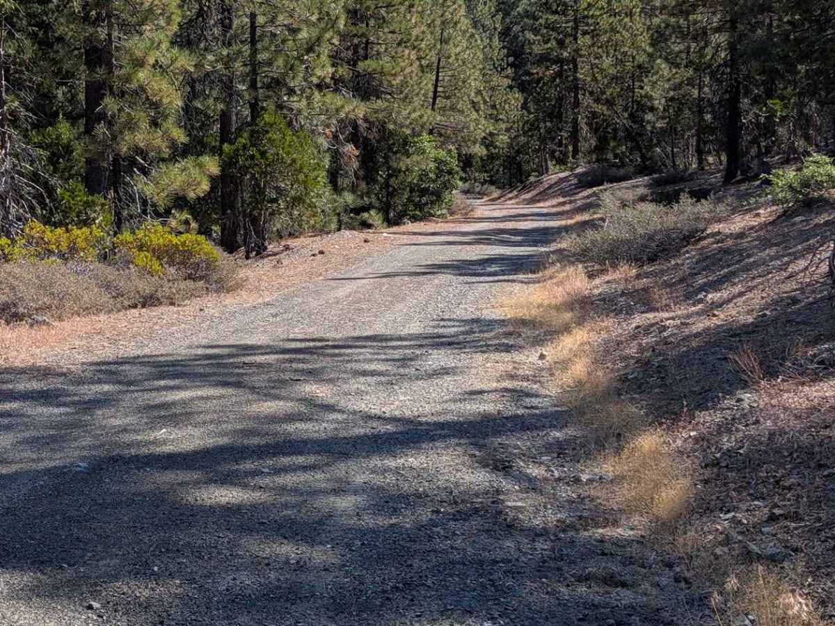 Dubit Kelly Road - FS 29N55  photo 3