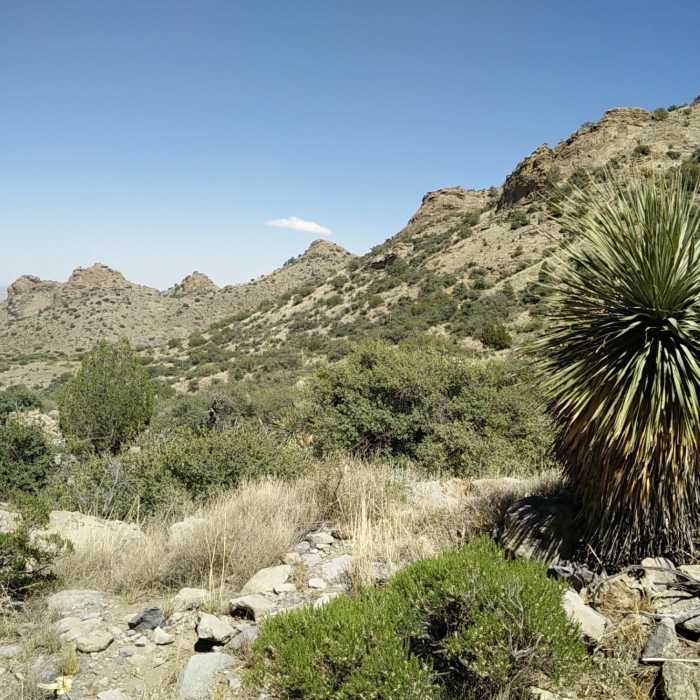 The scenery is beautiful on the south side of the canyon. Near Lovers' Leap Trail
