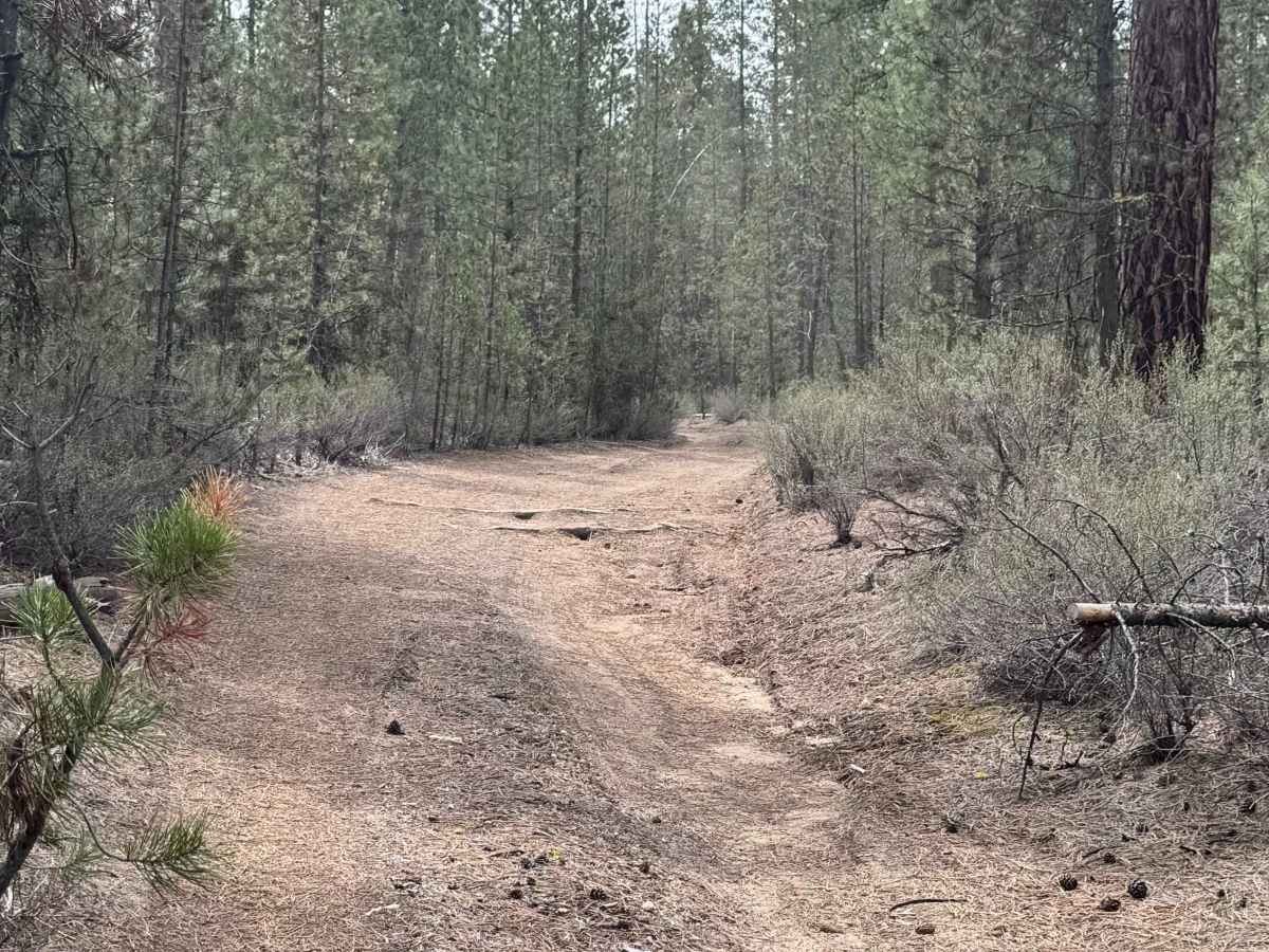 Wocus Bay Road trail photo