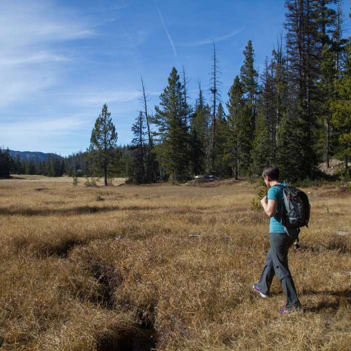 Near Lofty Lake Loop Hike