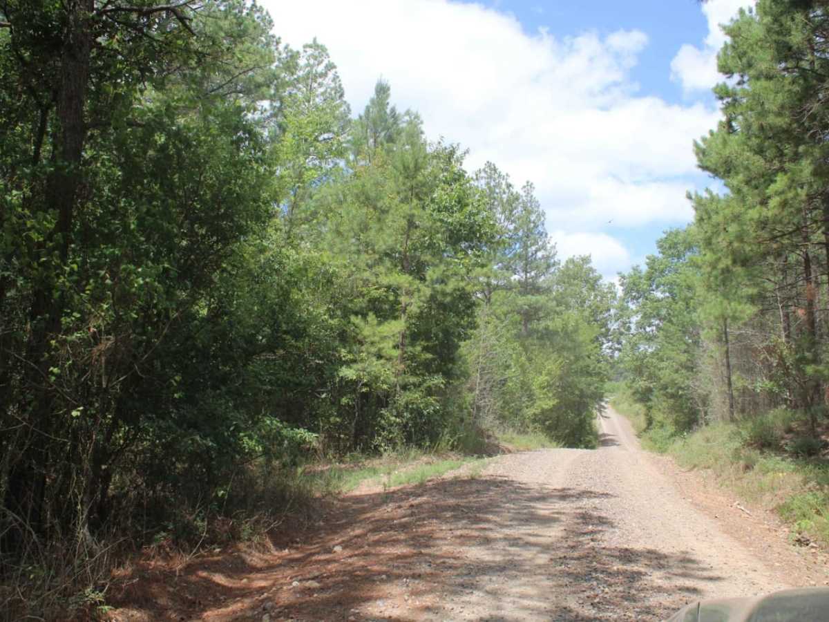 Polk Road 34 to Camping photo 6