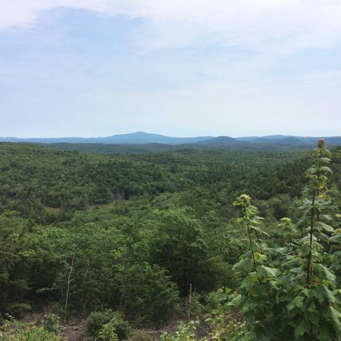 Nice view on the Pisgah Ridge Trail. Saw a hawk gliding in this area right after! Near Pisgah State Park Ridge Loop