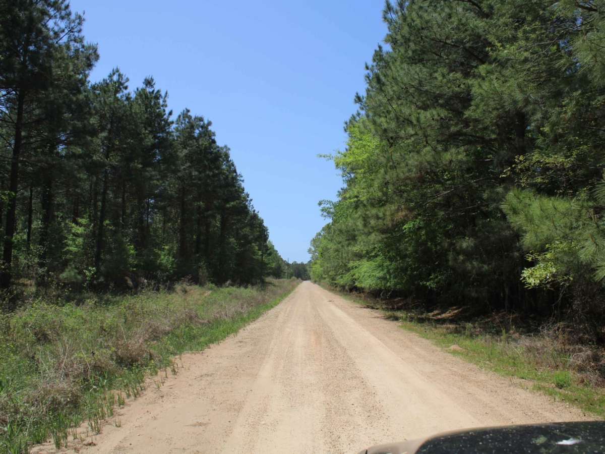 The Arkansas Overland Route - TrailHawk Loop - Section 19 photo 3