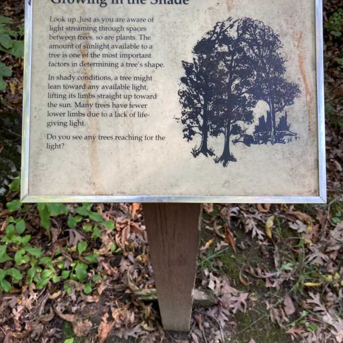 Near Vista Nature Loop Near Vista Nature Loop