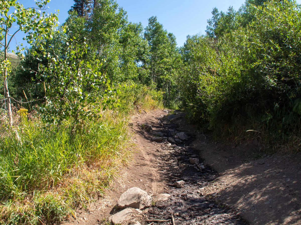 Lower Parish Creek photo 2