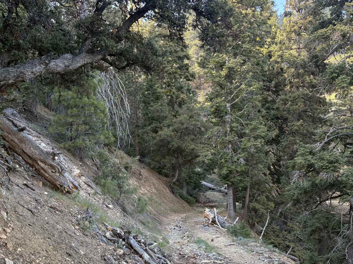 Mill Canyon - FS 9N04 photo 5