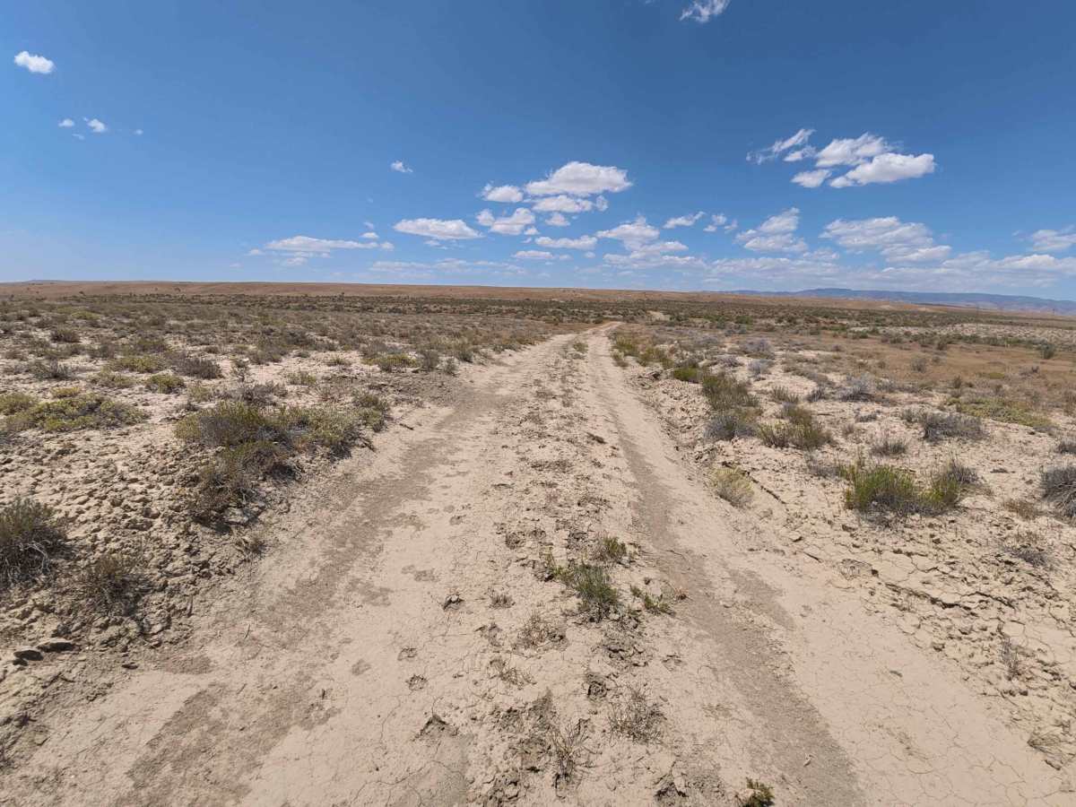 Bureau of Land Managment 121 photo 3