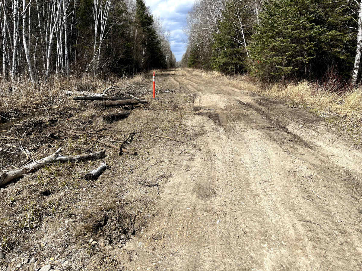 Sandilands Forestry Road 31 photo 5