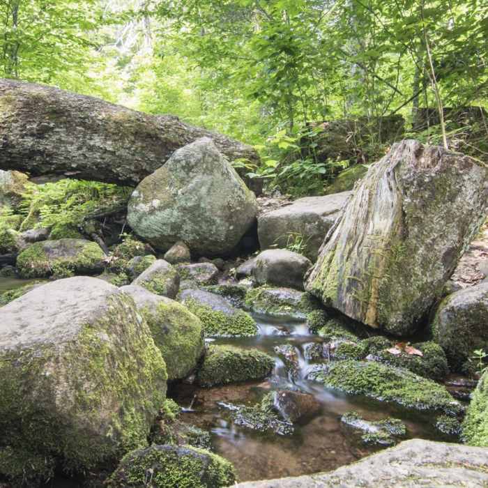 Near Snowy Mountain Fire Tower Near Snowy Mountain Fire Tower