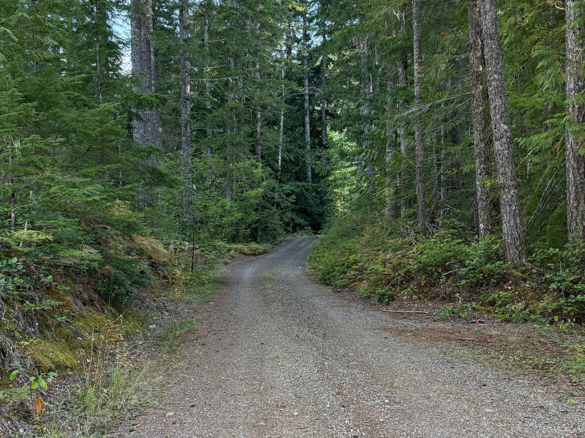 Lake Cushman View Trail trail photo