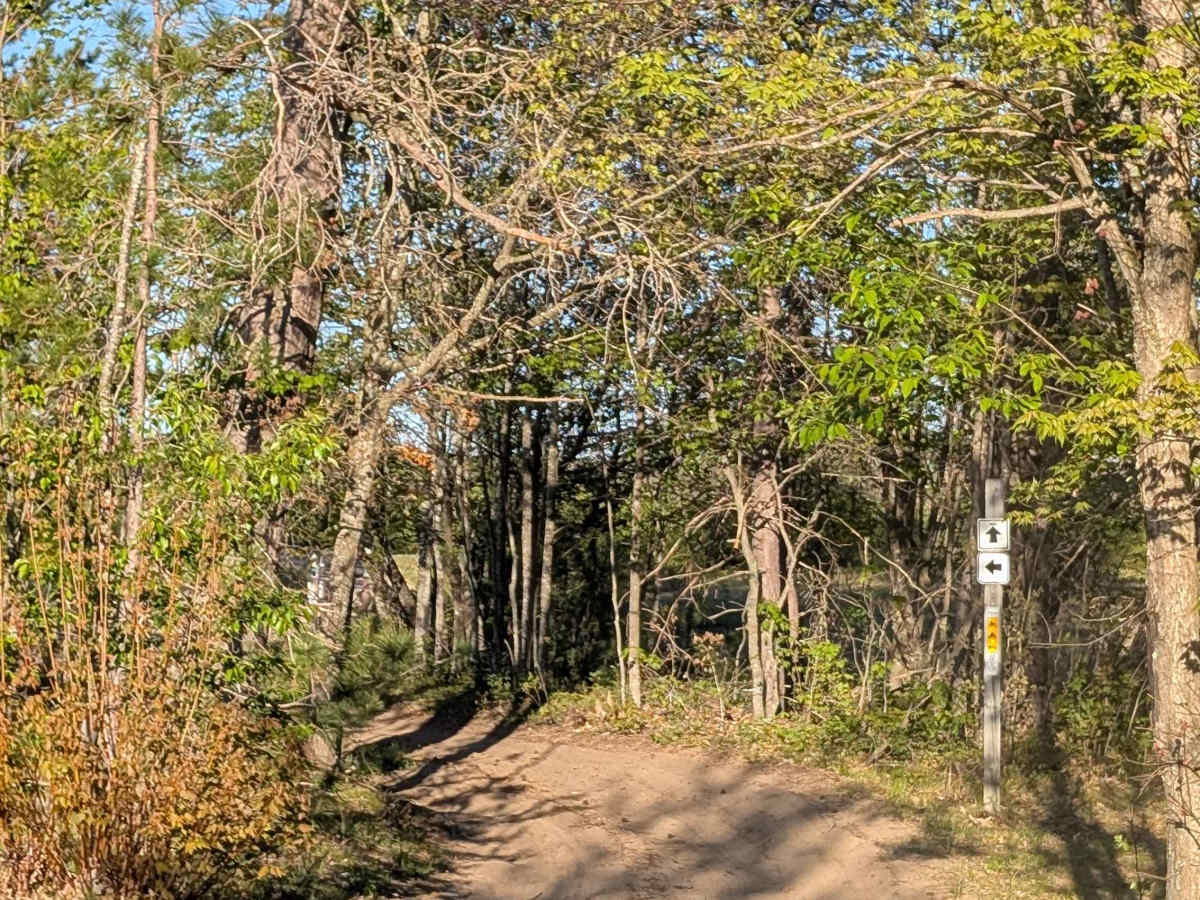 Kalkaska Route South ORV Loop photo 4