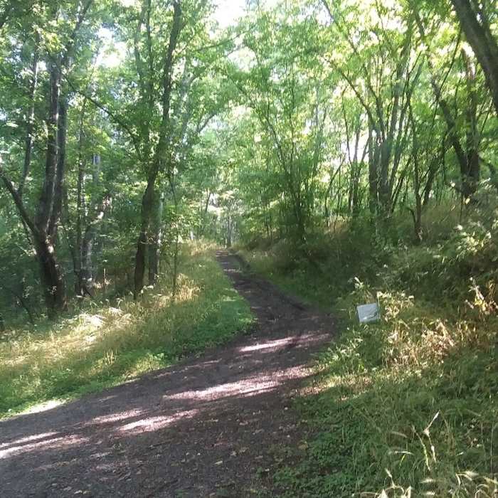 Near Crooked Stick Trail