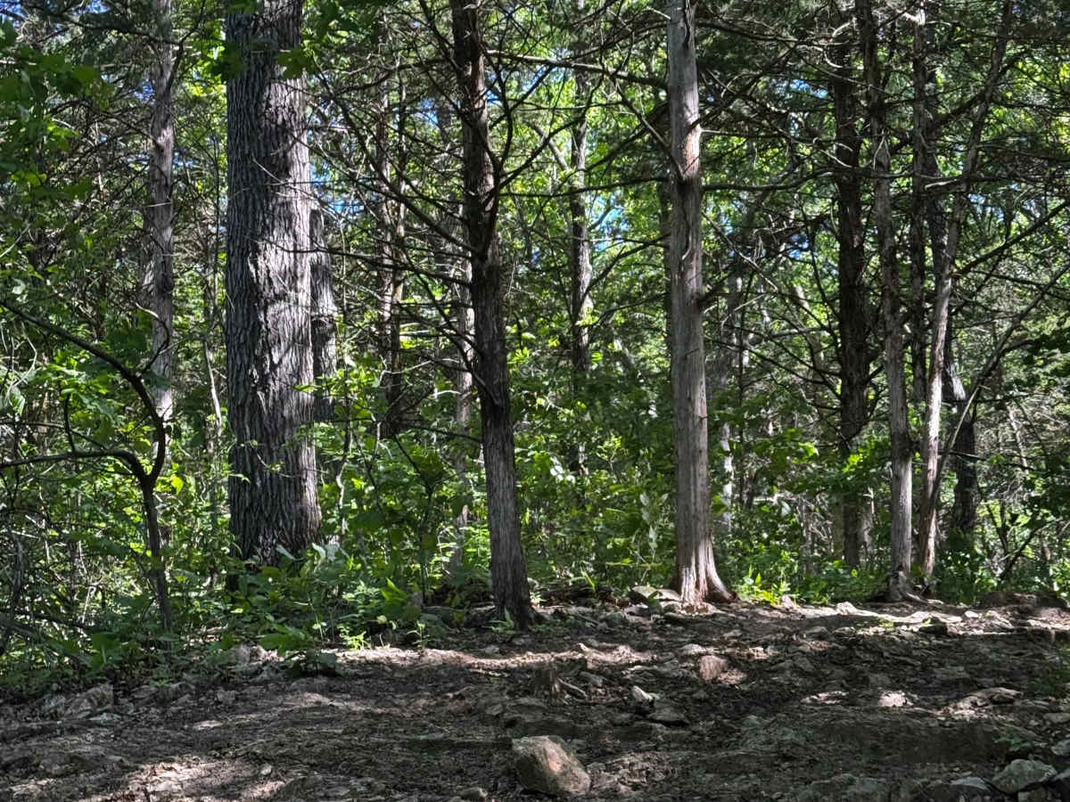 Inner Track 22 photo 2