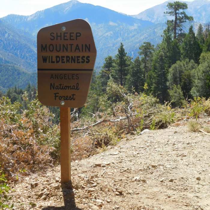 Sheep Mountain Wilderness boundary Near Big Horn Mine Trail