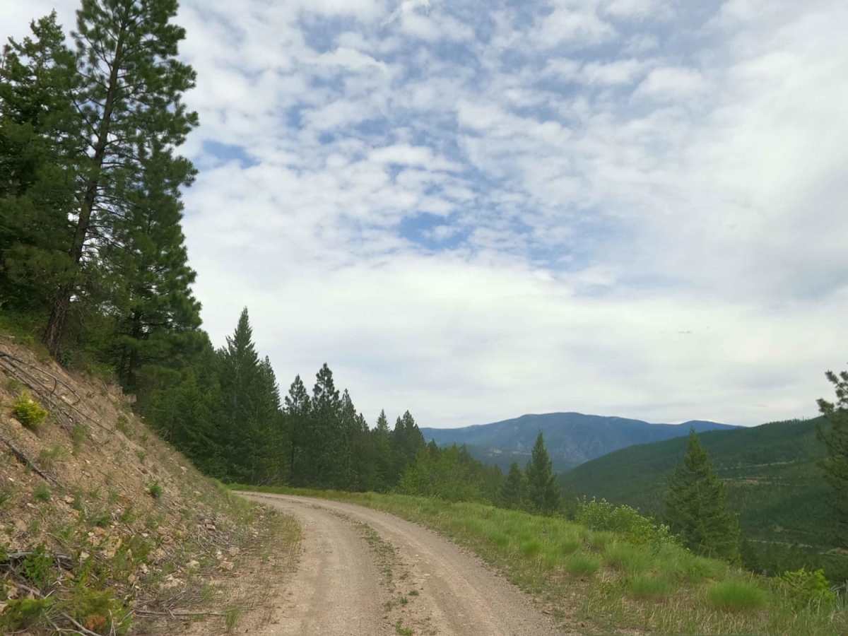 West Fork Petty Creek Road 22 photo 4
