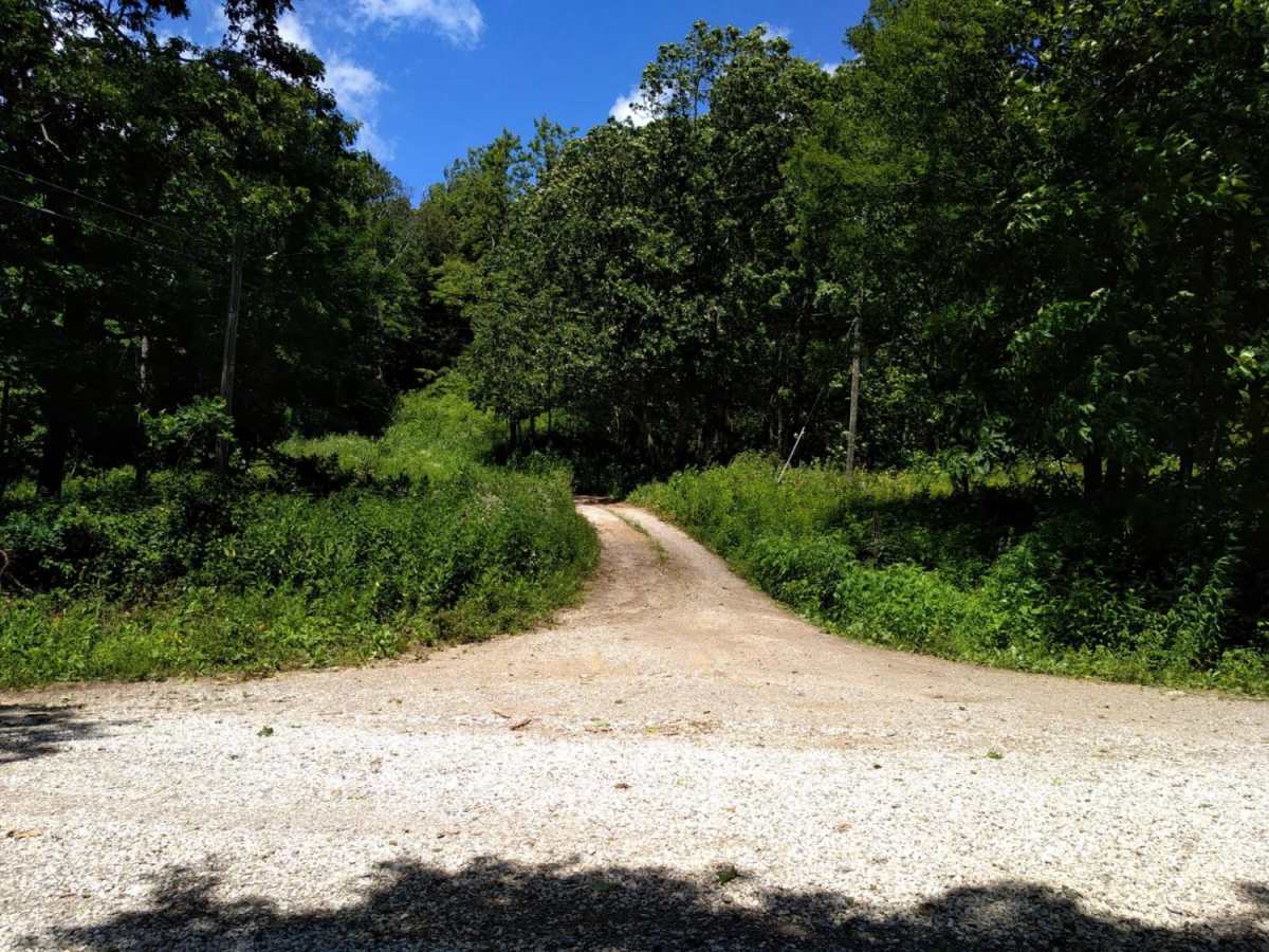 FR1176 trail photo