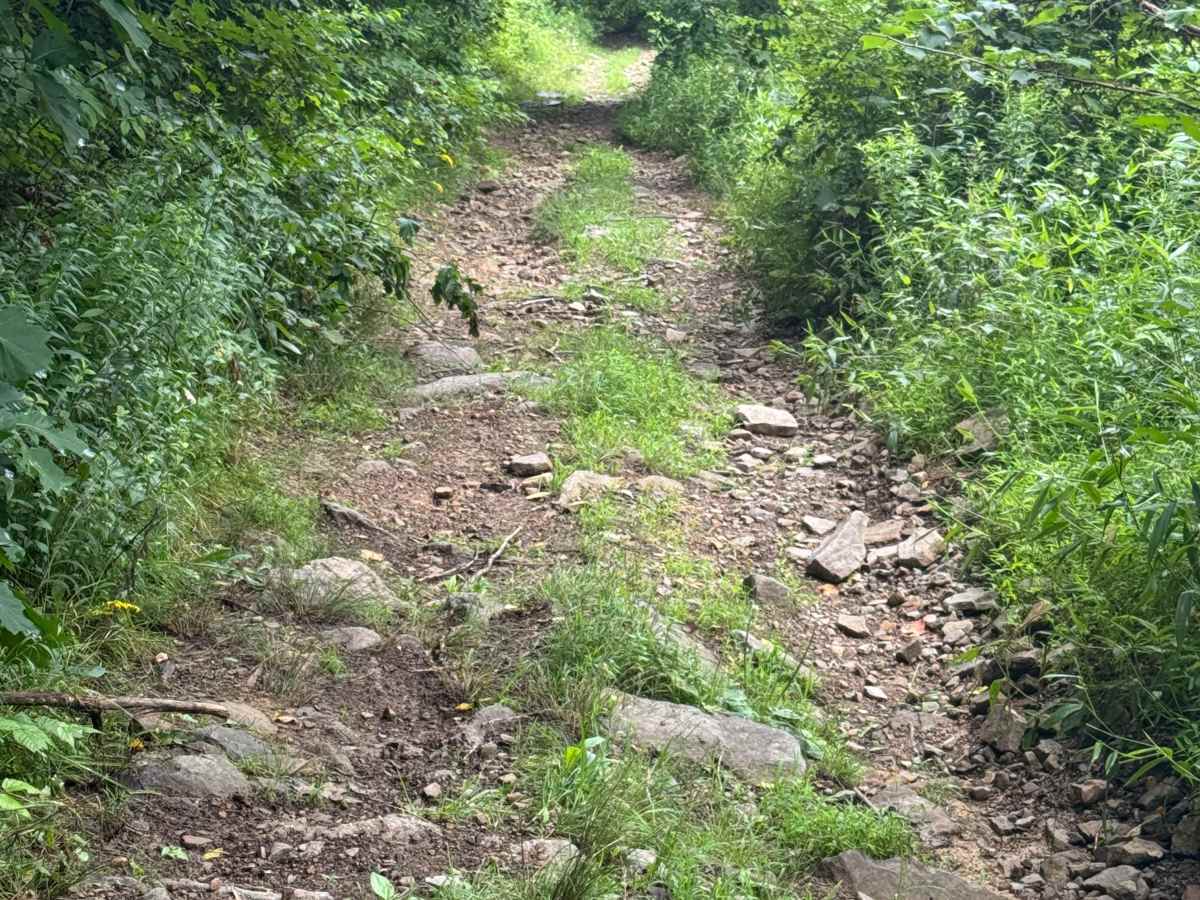 Trail 67 trail photo